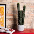 thumbnail image 2 of Vickerman FH181101 Aloe Vert de 27.5 Po dans un Pot en Béton, 2 of 2