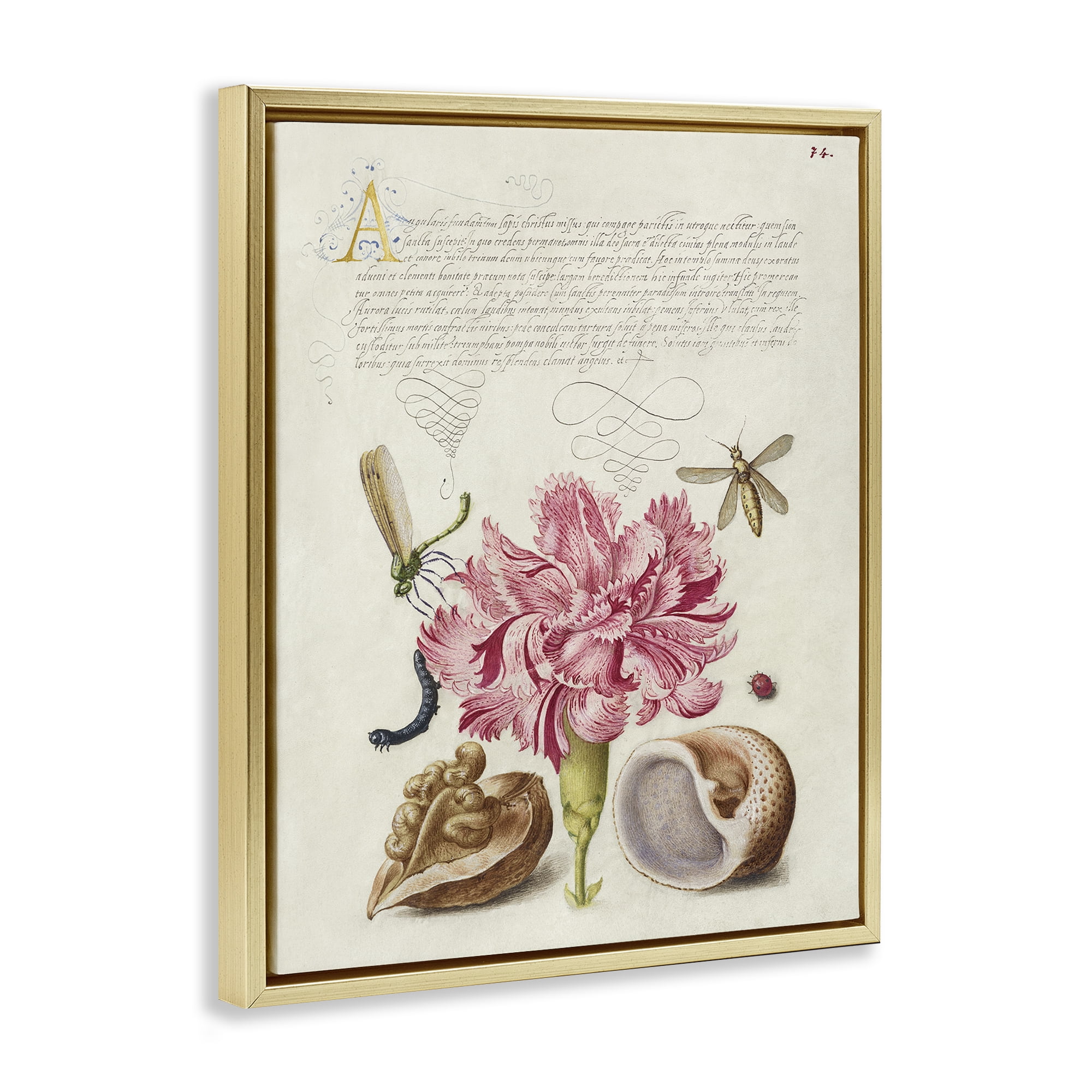 Stupell Industries Antique Flower & Snails Text & Numbers Painting Gold Floater Framed Canvas Art Print Wall Art, 17 x 21