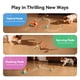 thumbnail image 2 of Juguete Interactivo Inteligente para Perros Hoochii Wicked Ball Rolly, 2 of 8