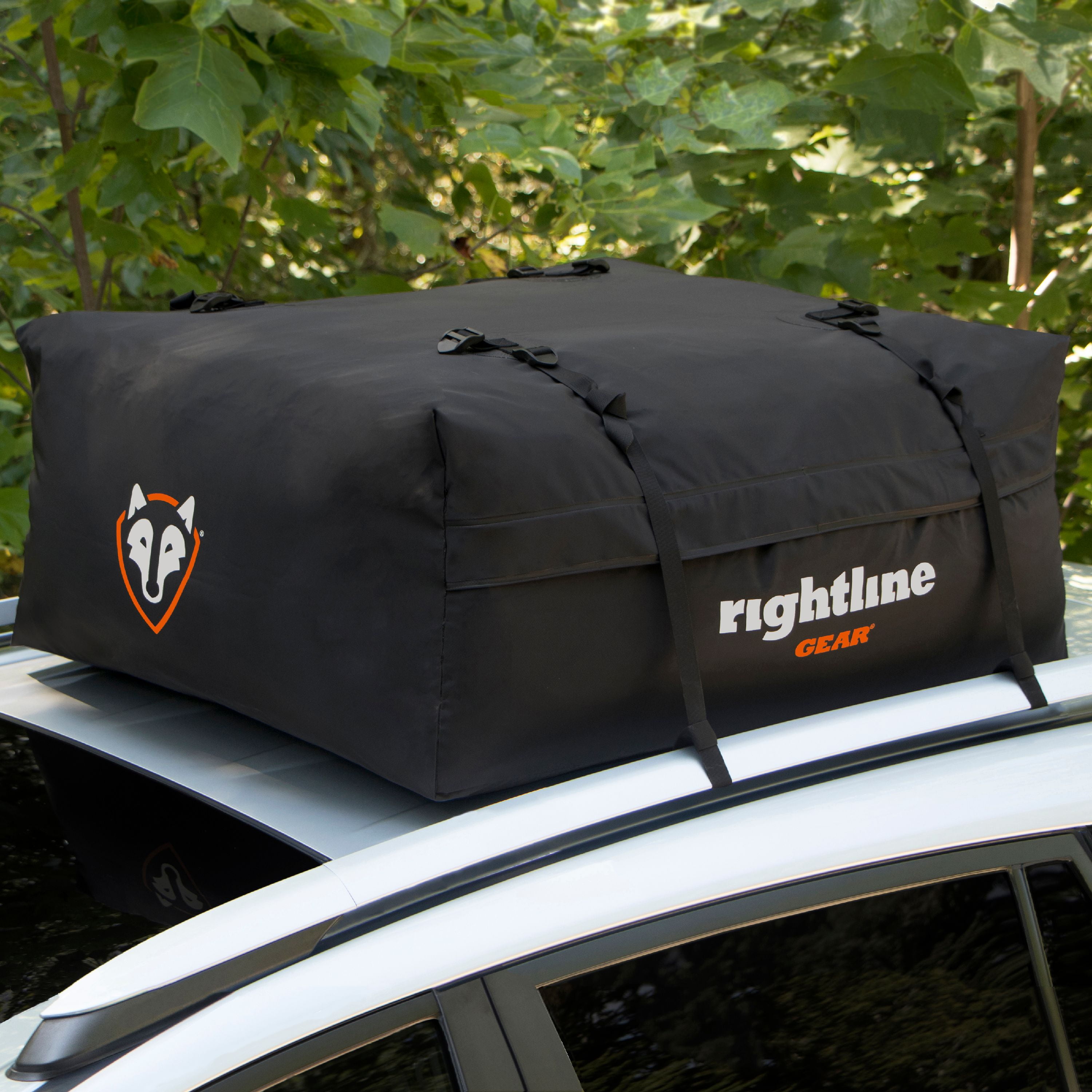 walmart car top cargo bag