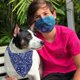 thumbnail image 2 of KAIYANG 4 Piezas Bandanas para Perros Collar Bufanda Accesorios para Perros Pequeños Medianos y Gatos S, 2 of 4