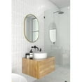 thumbnail image 2 of Inara 28 in. x 20 in. Pill Mirror, 2 of 9