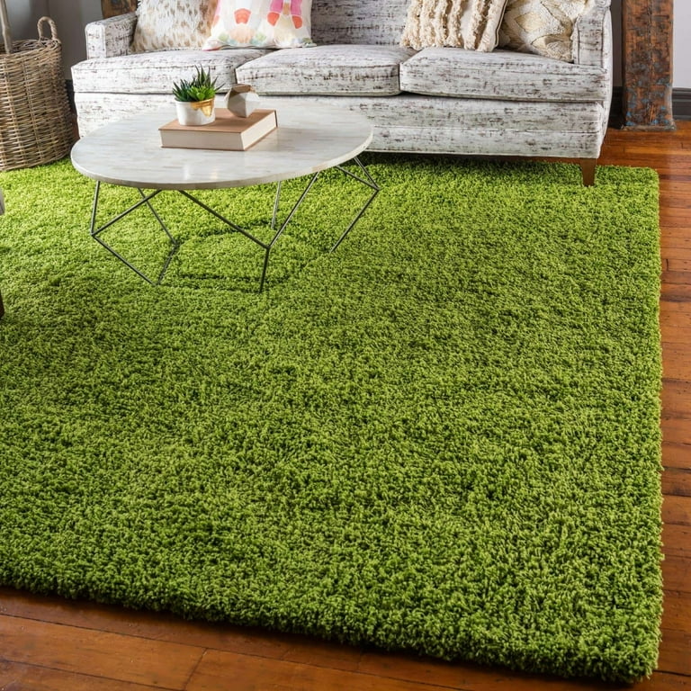 Shag Laurian Collection Area Rug 2'2