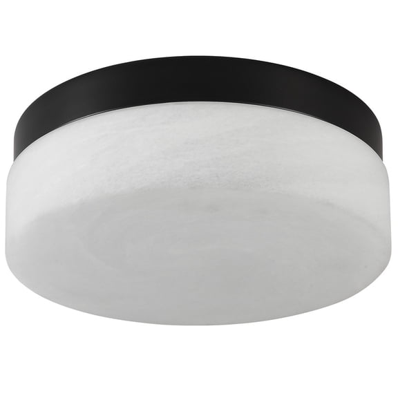 TICOZE 12 Inch LED Ceiling Light, 24W Flush Mount Ceiling Light,Round Low Profile Ceiling Lights for Bedroom, Living Room, Dining Room(Black)