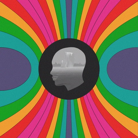 The Motet - Death Or Devotion - Music & Performance - CD