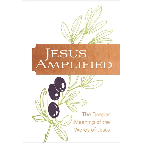 Jesus Amplified: The Deeper Meaning of the Words of Jesus, (Hardcover)