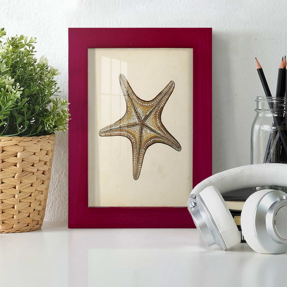 Sealife Collection IV - Framed Print w/glass - Cherry Red