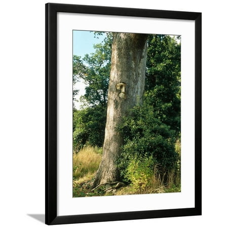 Forest Tree Face Garden - Unusual Garden Enchanted Forest Face Set in Tree Trunk October Groombridge Place, Kent Framed Print Wall Art By Sunniva Harte