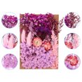 thumbnail image 3 of Unique Bargains Fleurs Séchées Naturelles Multiples Colorées Véritables Fleurs Séchées Pressées Plante Violet Pâle, 3 of 5