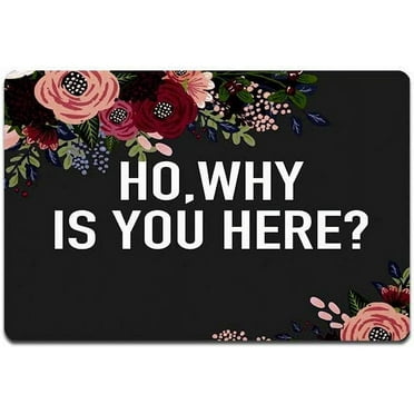 Bath Mats for Bathroom Ho Why is You Here Non Slip Bath Rug Welcome Front Door Mat Floor Mat Home Decor 24x16 Inch