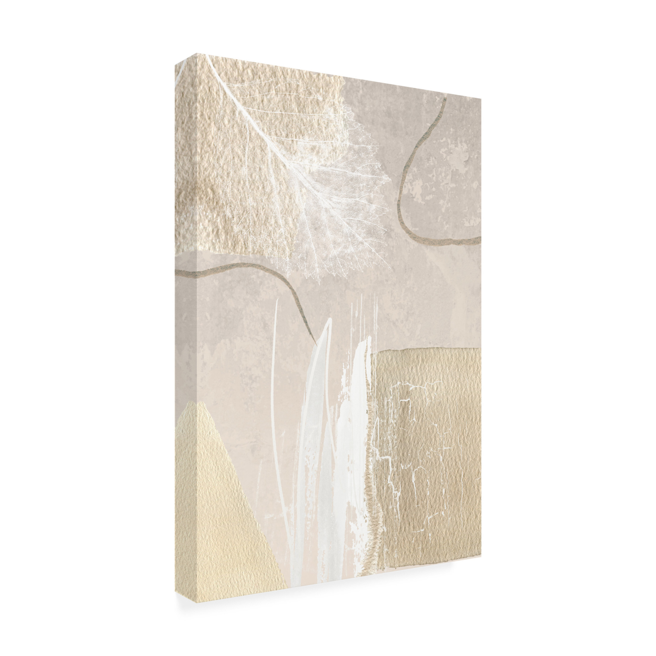Trademark Fine Art Sally Ann Moss Calm Ivory 2 Canvas Wall Art