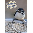 thumbnail image 2 of Valley Farms Sunflower Hearts Wild Bird Seed, 2 of 14
