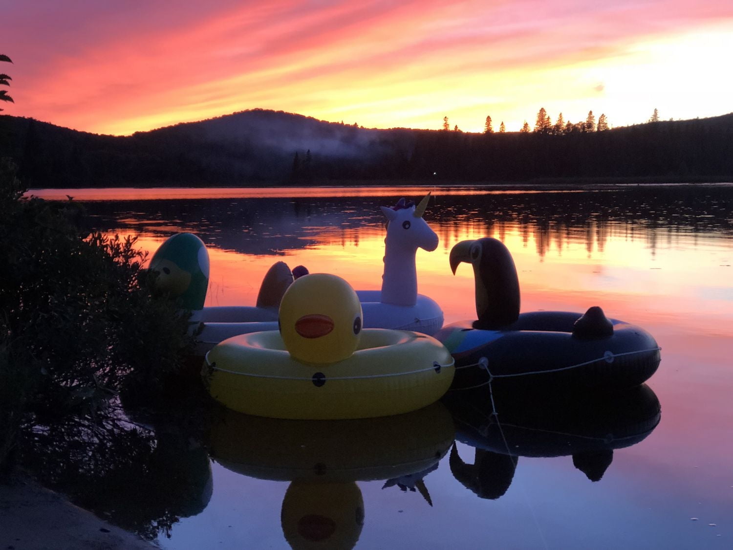 Pathfinder Yellow Duck Inflatable Float