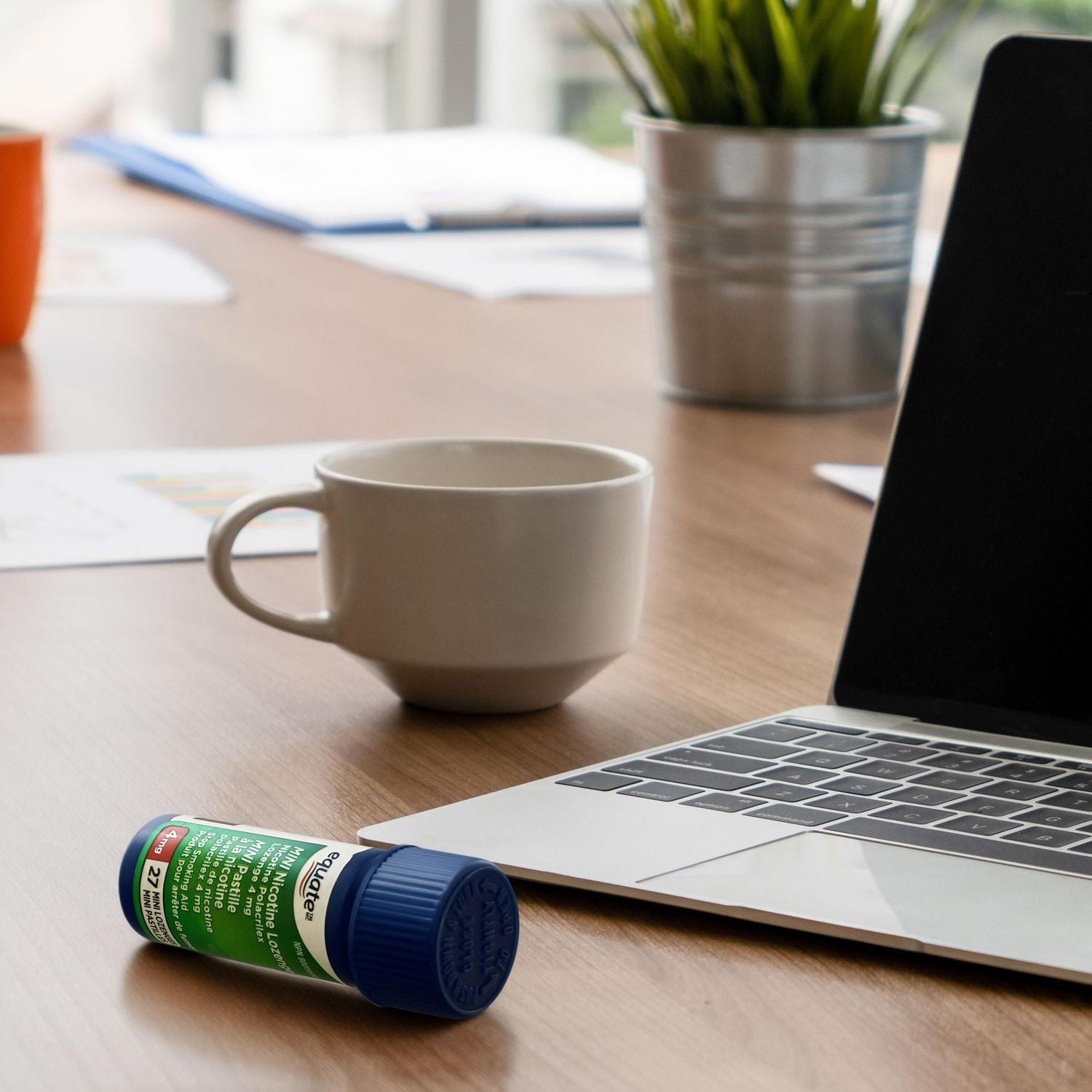 Equate Mini Pastile a la nicotine, menthe