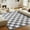 White light gray, variant on SARAG Checkered Rug 5x7ft For Living Room, Multicolor Modern Shag Rug Super Soft Washable Indoor Fuzzy Carpet Non-Slip Fluffy Rugs For Bedroom Home Aesthetic Decor