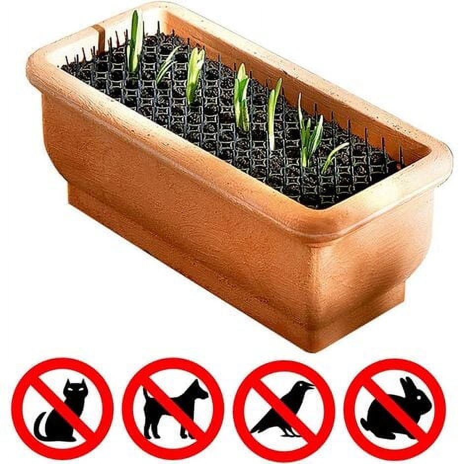 Set of 5 anti pest grids   Anti pigeon, bird, cat spike   Natural and ecological repellent for planters and vegetable gardens   Immediate protection   Cuttable and modular