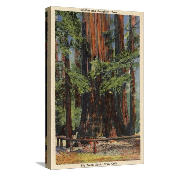 Art.com Santa Cruz County, CA - Mother & Daughter at Big Trees Park Stretched Canvas Print Wall Art by Lantern Press, 12" x 18"