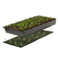 thumbnail image 3 of Alfombrilla térmica Seedling Hydrofarm MT10006, 17 pulgadas de ancho, 23 x 50 cm, color negro, 3 of 5