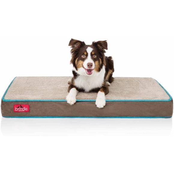 Brindle Cama impermeable de espuma viscoelástica 10 cm para mascota estándar color Beige con azul - Ortopédica para perro y gato - Compatible con jaula - Funda extraíble y lavable a máquina