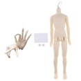 thumbnail image 1 of Resina Flexible 15 articulaciones Cuerpo desnudo y 16 articulaciones Manos DIY masculinas /3 BJD Muñeca articulada Accesorios, 1 of 9