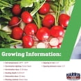 thumbnail image 2 of Harris Seeds Radish Red Satin F1, Hybrid, 20,000 Count, 2 of 7