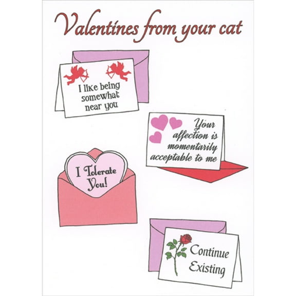 RSVP Four Cards and Envelopes: I Like Being Somewhat Near You Funny Valentine's Day Card from Cat