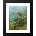 thumbnail image 2 of Allan Brooks 14x18 Black Modern Framed Museum Art Print Titled - Rufous and Anna's Humming Birds (1929-1932), 2 of 5
