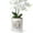 Columnar-White, variant on BUYMAX 6" Ceramic Orchid Pot with Slotted Drainage Holes and Tray,White