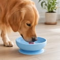 thumbnail image 4 of Rdausd 5.98" Silicone Pet Bowl with Suction Cup, Non-Slip Dog Cat Feeding Bowl, Food Grade Water Bowl for Small Medium Pets, BPA-Free Durable Pet Bowl, Blue, 4 of 5