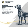 thumbnail image 6 of Blackwood Puppy & Performance Chicken Meal with Ancient Grains 24 lb, 6 of 8