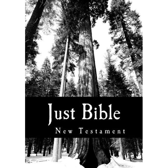 Just Bible: New Testament (Paperback)