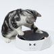 thumbnail image 2 of SCSYV Interactive Cat Turntable Electric 2 Speed Adjustable Automatic Puzzle Catch Mouse Play Cat Toy for Pet Supplies, 2 of 5