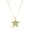 CZ Starfish, variant on Gold Necklace for Women Boho Spiral Conch Shell Necklace Starfish Necklace Vintage Ocean Sea Shell Choker Pendant Necklace Adjustable Summer Beach Jewelry
