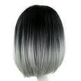 thumbnail image 2 of Wigs Short Straight Synthetic Hair Full Wigs for Women Natural Looking Heat, 2 of 4