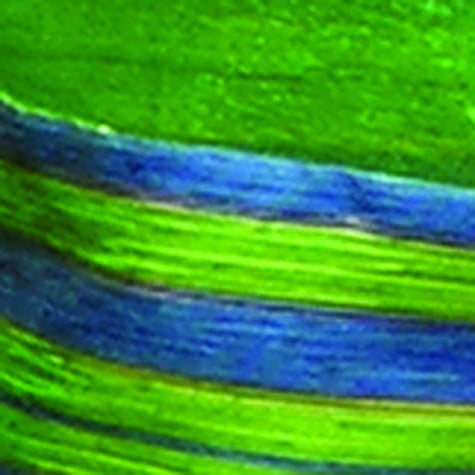 Club Pack of 12 Green and Blue Striped Gift Bag 7.5" x 5"