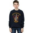 thumbnail image 4 of Harry Potter Boys Gryffindor Cotton Sweatshirt, 4 of 6