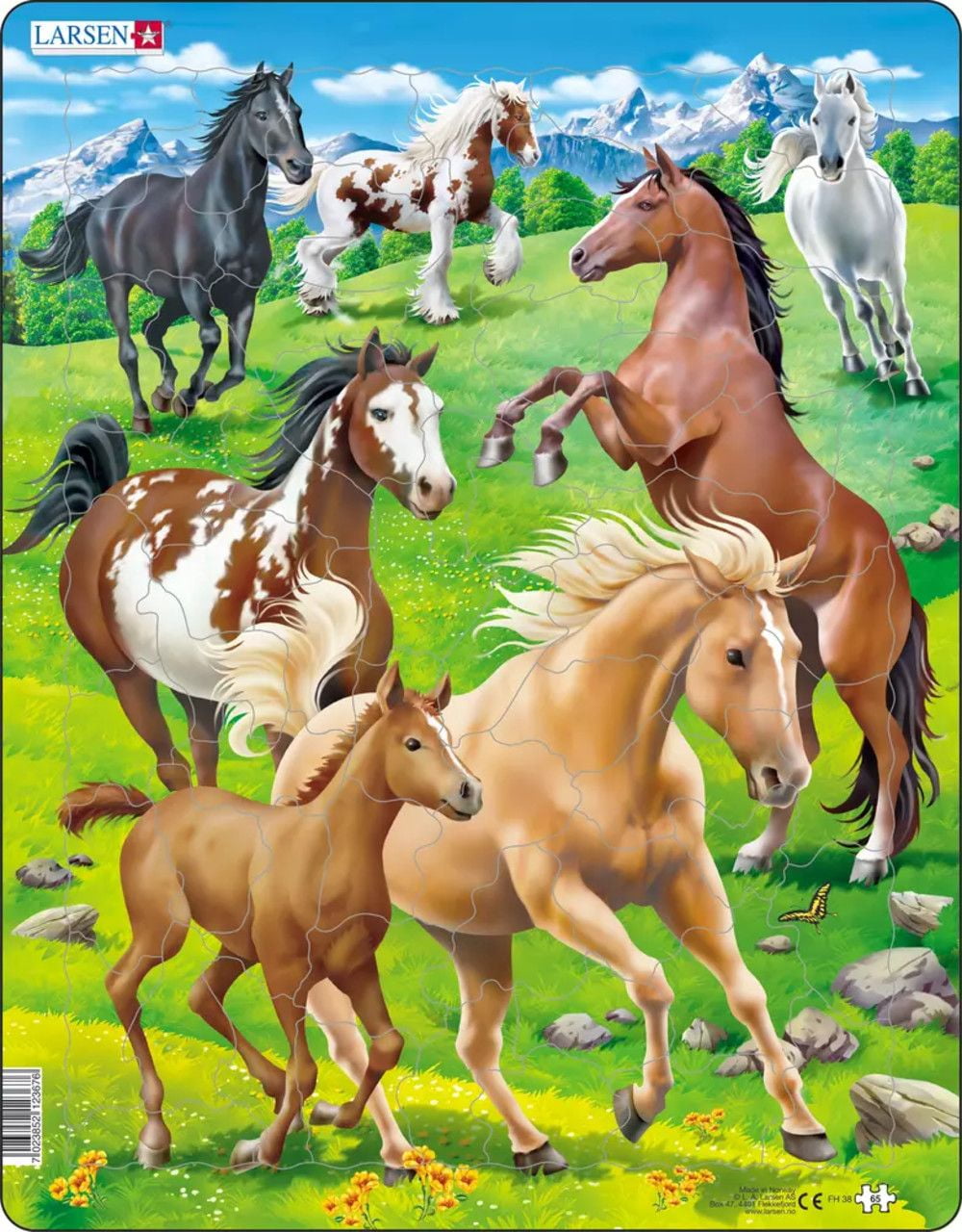 Larsen South America Map With Animals 65 Piece Children's Educational