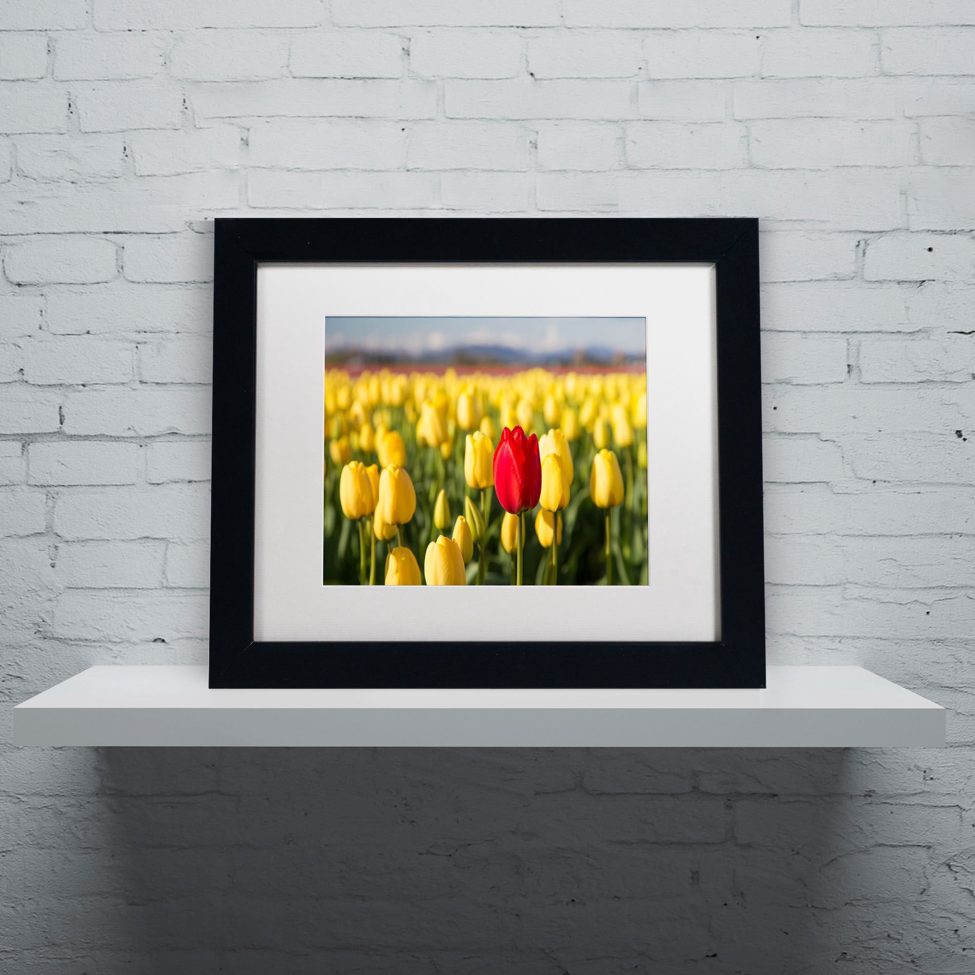 Trademark Fine Art "Red Tulip" Canvas Art by Pierre Leclerc, White Matte/Black Frame