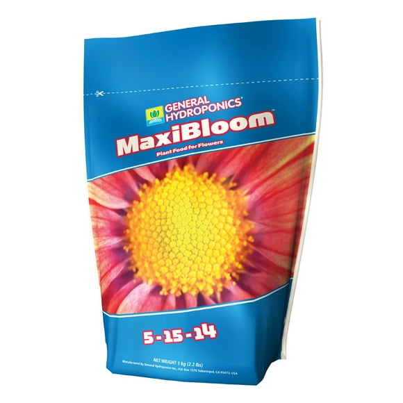 MAXI BLOOM 2.2 LB (Pack of 1)