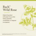 thumbnail image 3 of Bach Original Flower Remedies, Wild Rose - 20 mL Dropper, 3 of 6