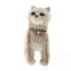 thumbnail image 3 of Paquete de 2 Juguetes de para , de Peluche Electrónicos para Mascotas, Juguetes para Caminar Yotijar  Juguetes interactivos, 3 of 7