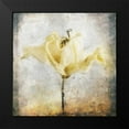 thumbnail image 2 of Bingham, John 12x12 Black Modern Framed Museum Art Print Titled - Sepia Bloom II, 2 of 5