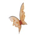 thumbnail image 1 of Wings Butterfly Orng Hot Color, 1 of 2