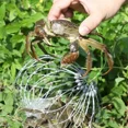 thumbnail image 4 of 1 Pce Piège à Crabe Filet de Pêche Fermeture Automatique Piège à Crabe Cage de Capture Outils de Pêche Extérieur Piège en Acier Inoxydable 20 Filets à Crabe, 4 of 6