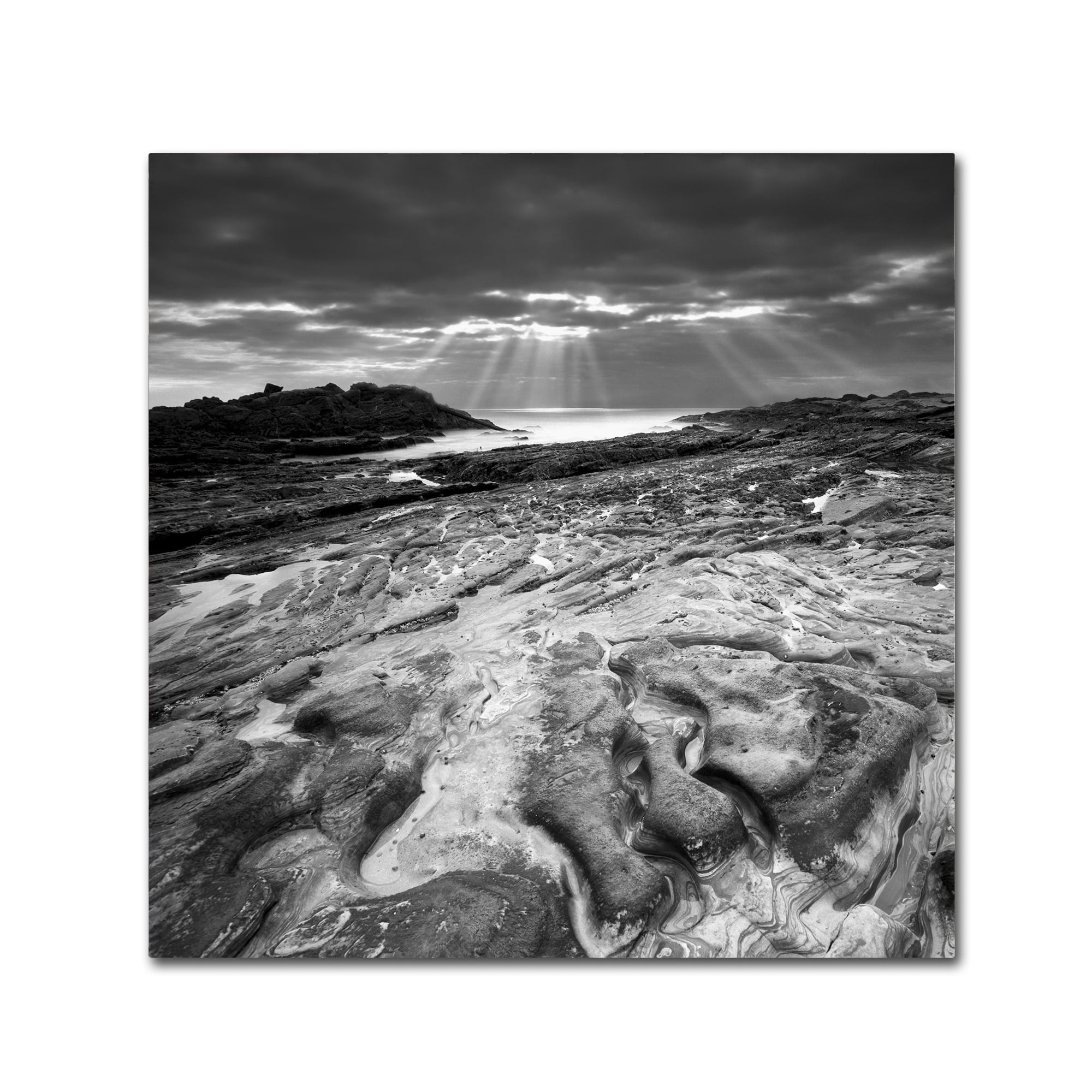 Trademark Fine Art "Sunset at Point Lobos" Canvas Art by Moises Levy
