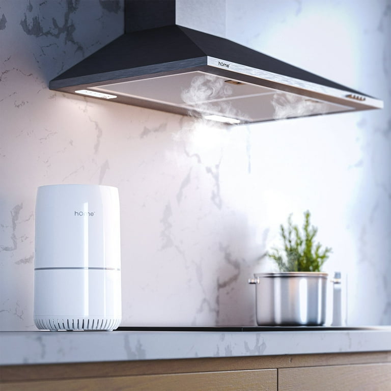 Homelabs true hepa h13 2024 filter air purifier