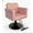 pink, variant on Garderth Salon Chair For Hair Stylist,PU Leather Barber Chair,Hair Stylist Chair,Rolling Styling Chair With Height Adjustable Hydraulic Pump,360 Degrees Swivel With Lock,Max Load Weight 330 Lbs