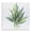 Tropical Botanical Leaf Sprigs, variant on Stupell Industries Contemporary Plant Leaf Sprigs Canvas Art, 17 x 17, by Sally Swatland