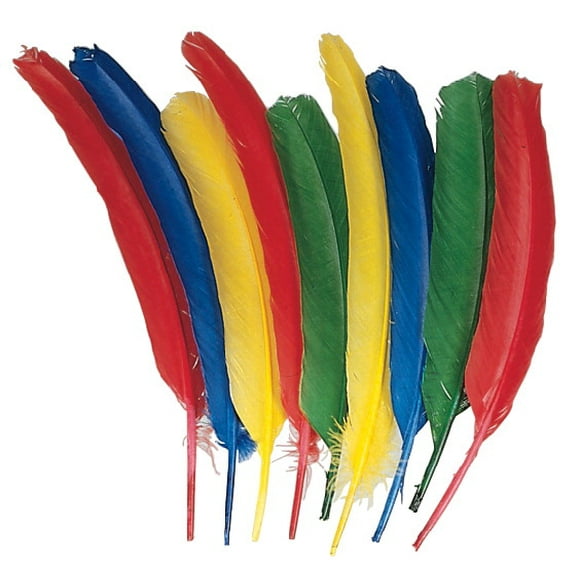PACON CORP 86301 School Smart Non-Toxic Long Colored Quill, 10 - 12 in, Multi-Color, Pack of 100