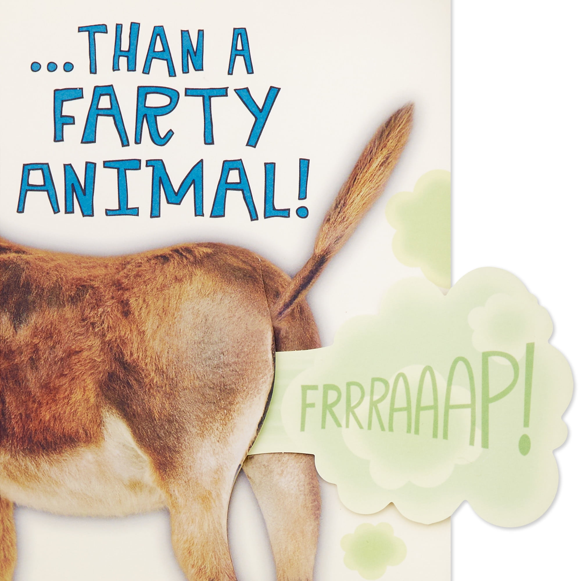 Hallmark Funny Birthday Card (Farting Donkey)